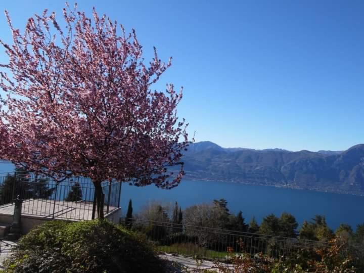 Villa Le Bottesele à San Zeno di Montagna Extérieur photo